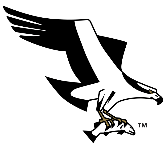 Missoula Osprey 1999-Pres Alternate Logo iron on transfers for T-shirts